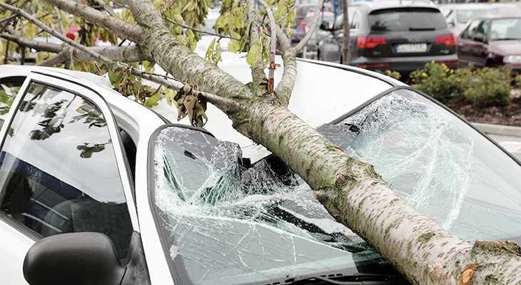 Primary Coverage: Public Housing Automobile Insurance